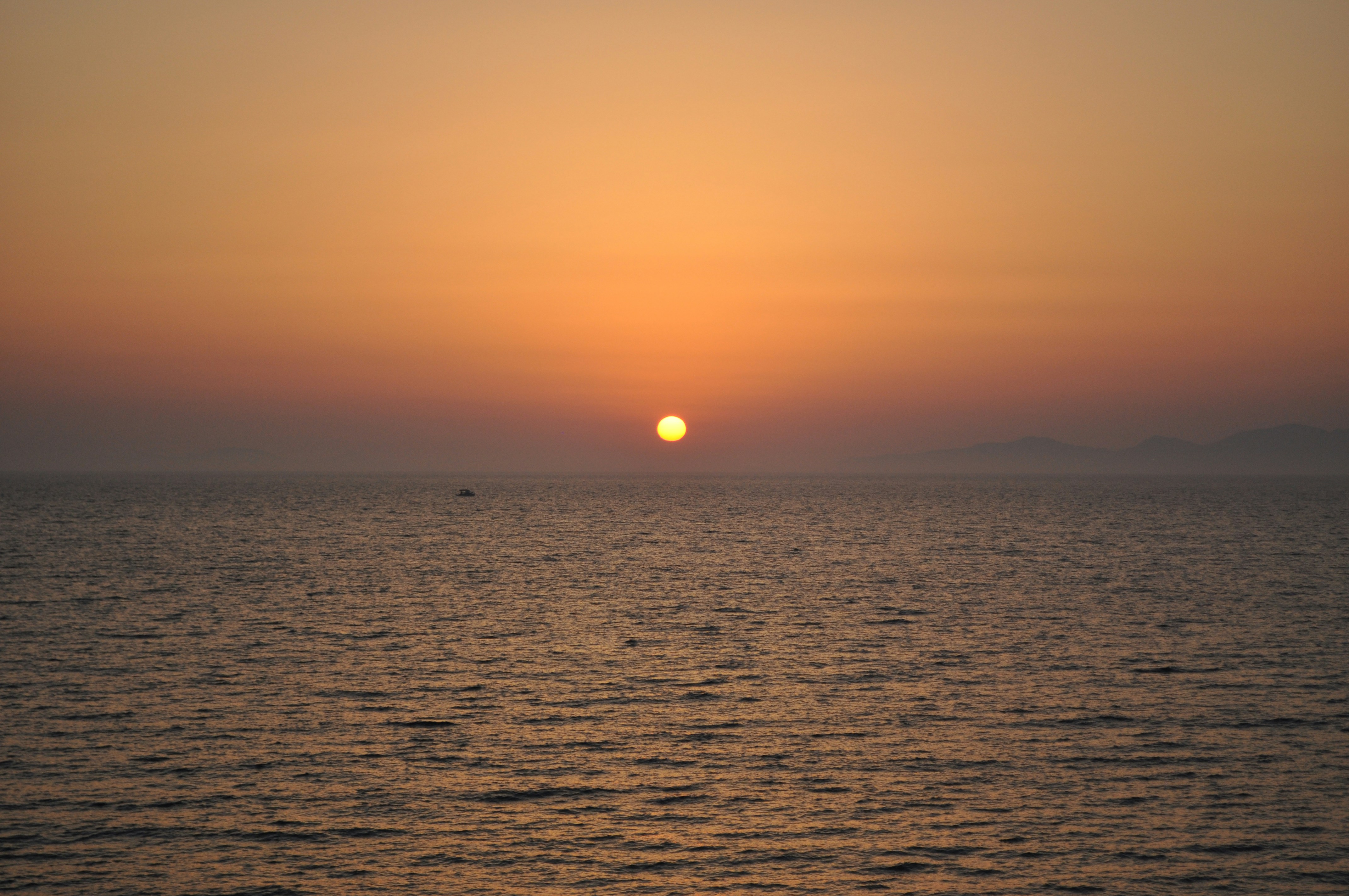 Photo by gekkeitaliana