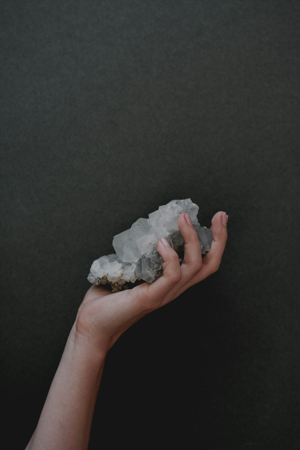 person holding white floral textile