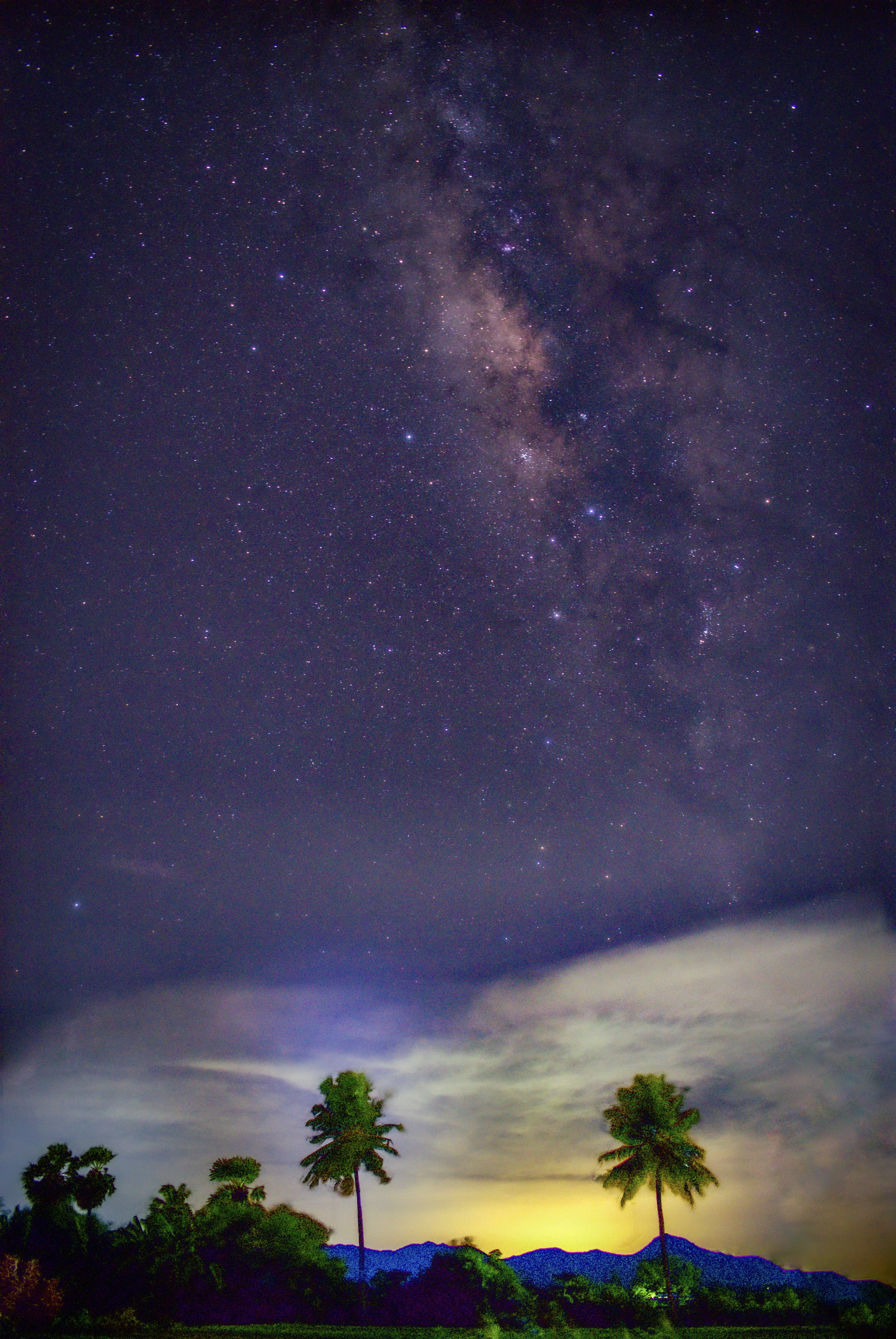 green trees under starry night
