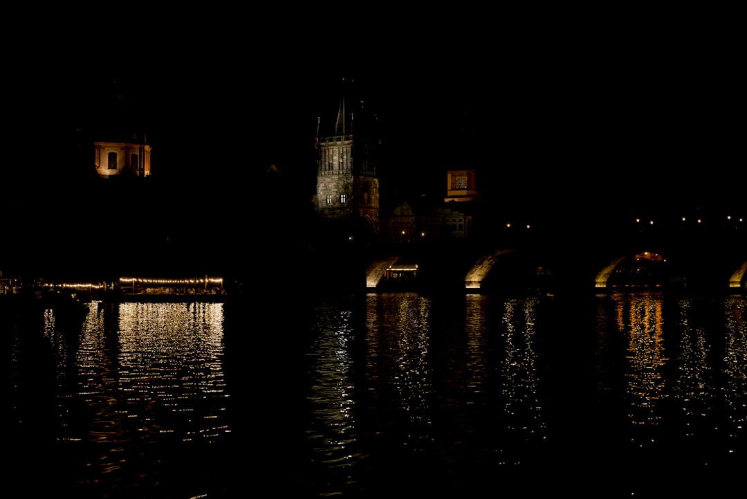 body of water near city buildings during night time