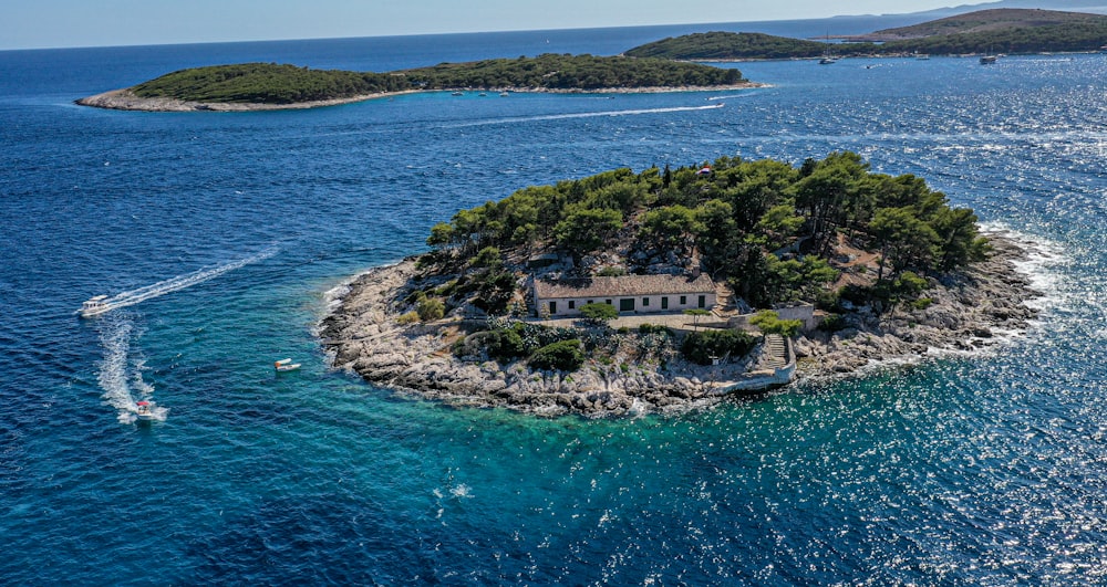 aerial view of green trees on island during daytime