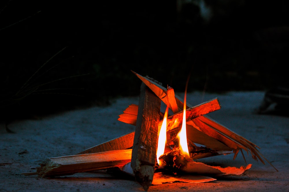 brown wooden log on fire