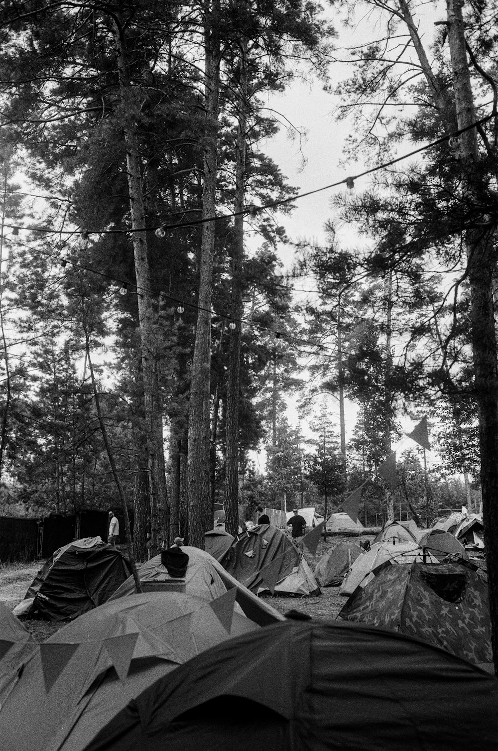 grayscale photo of people sitting on camping chairs in forest