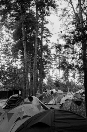 A black and white photograph of a forested area with multiple tents set up under tall trees. People can be seen standing and attending to the tents. There are string lights hanging from the trees, adding a festive or camp-like atmosphere.