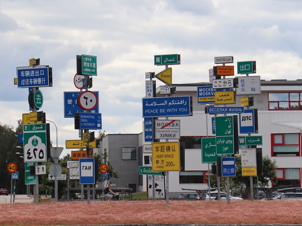 green and white street sign