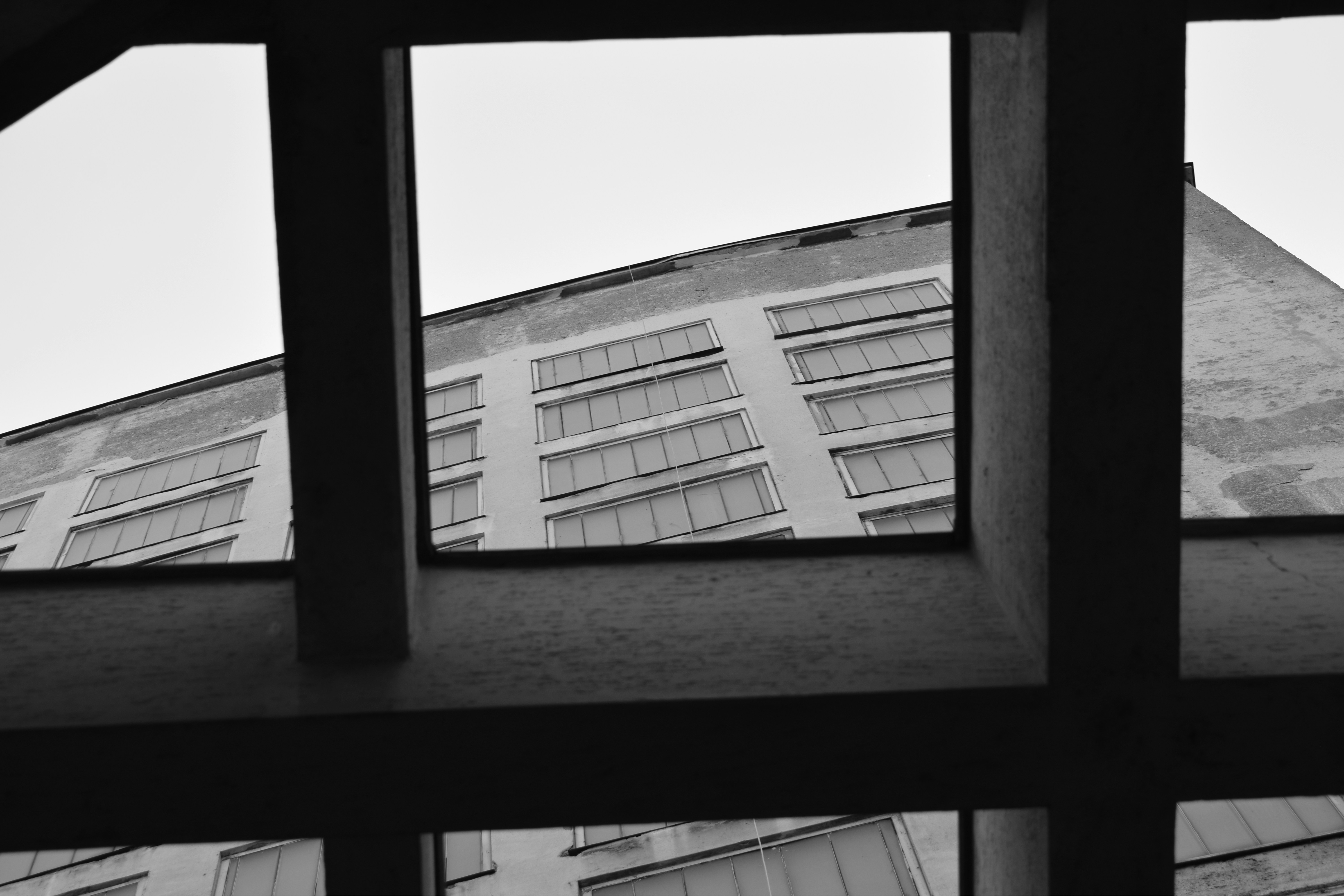 Photo by simplicity