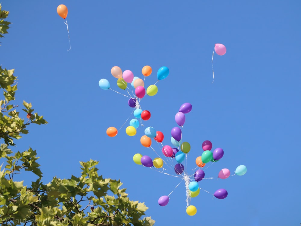 red blue and yellow balloons on the sky