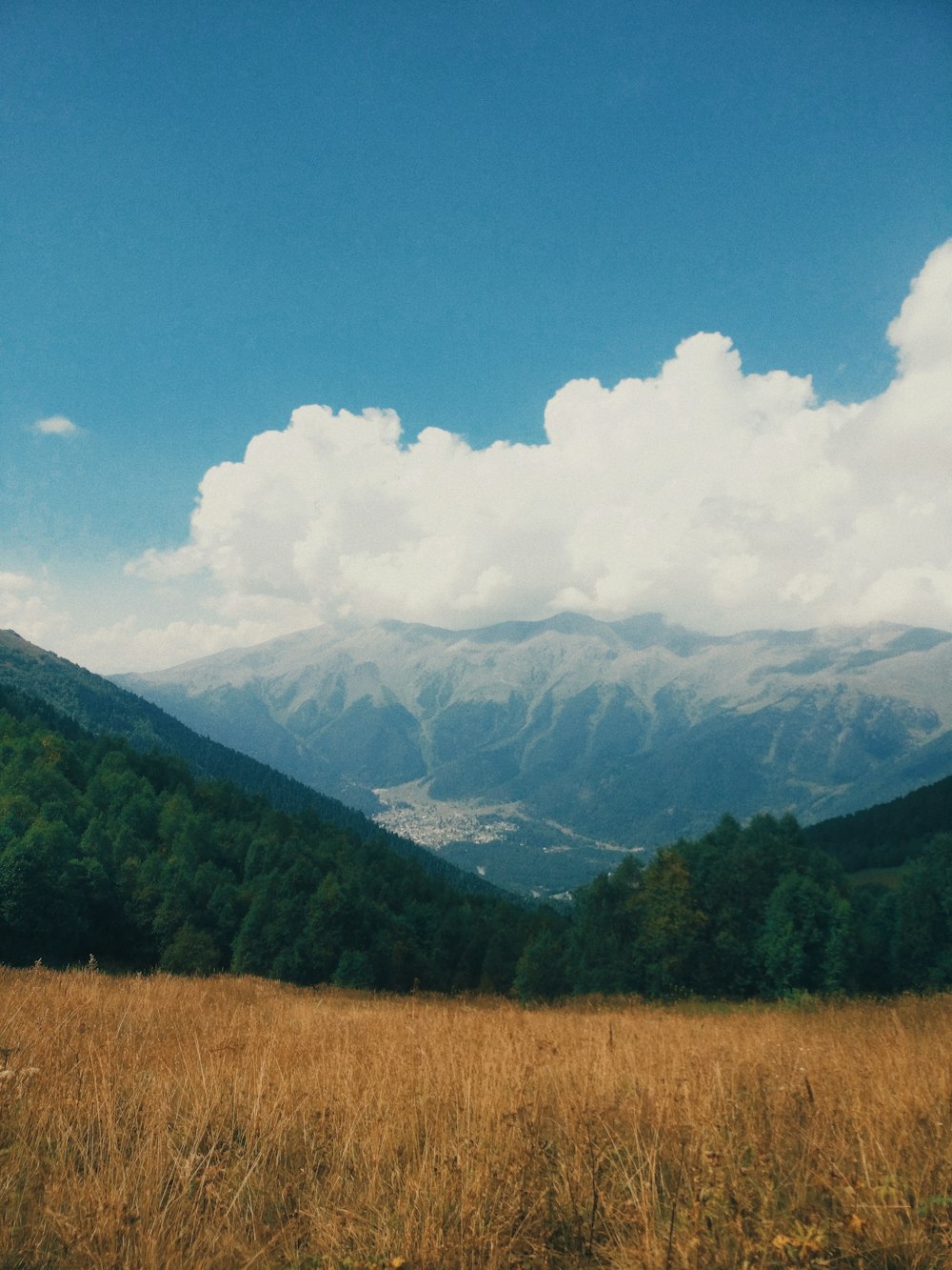 green trees on mountain under blue sky during daytime