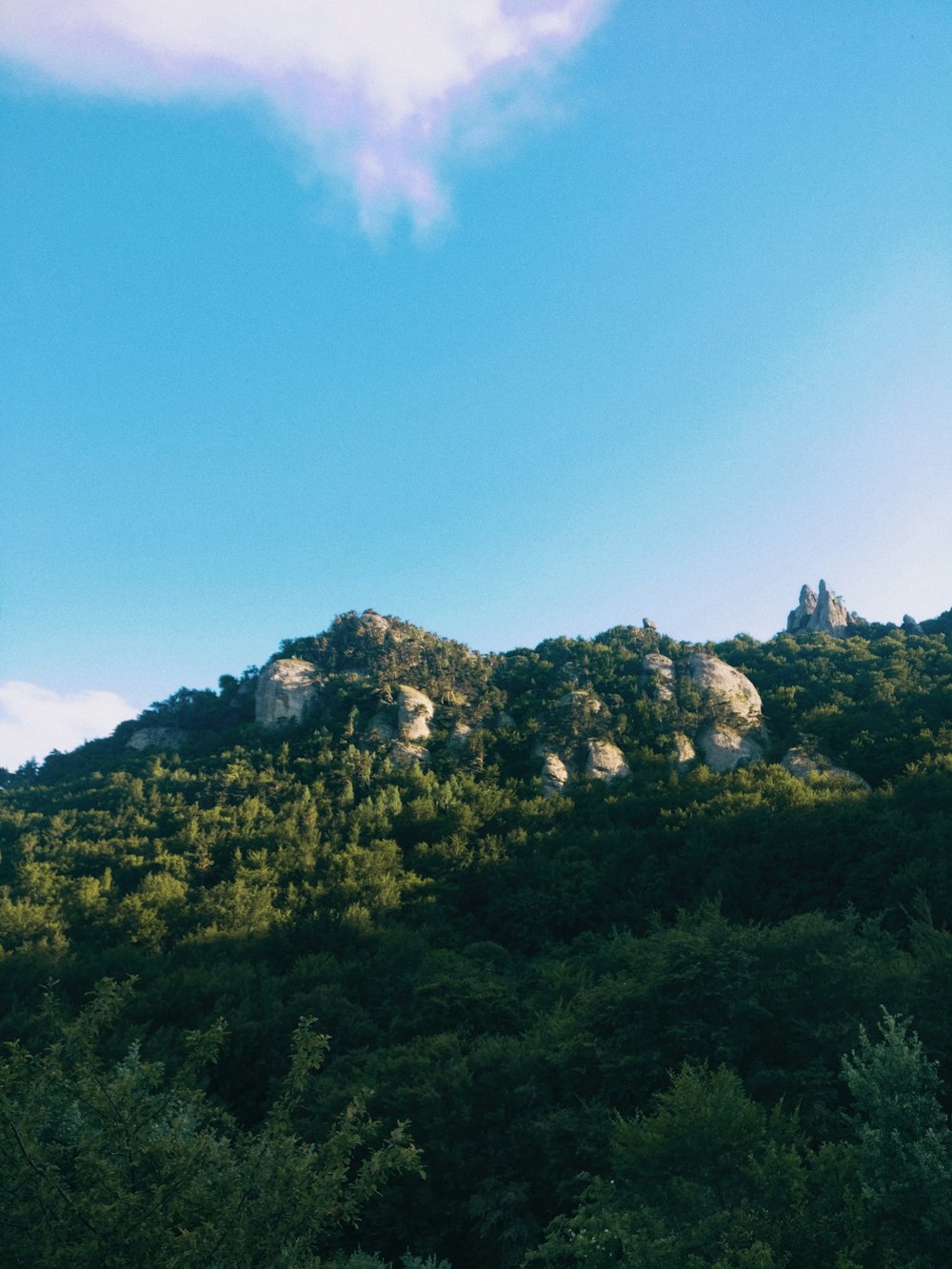 green trees on mountain under blue sky during daytime