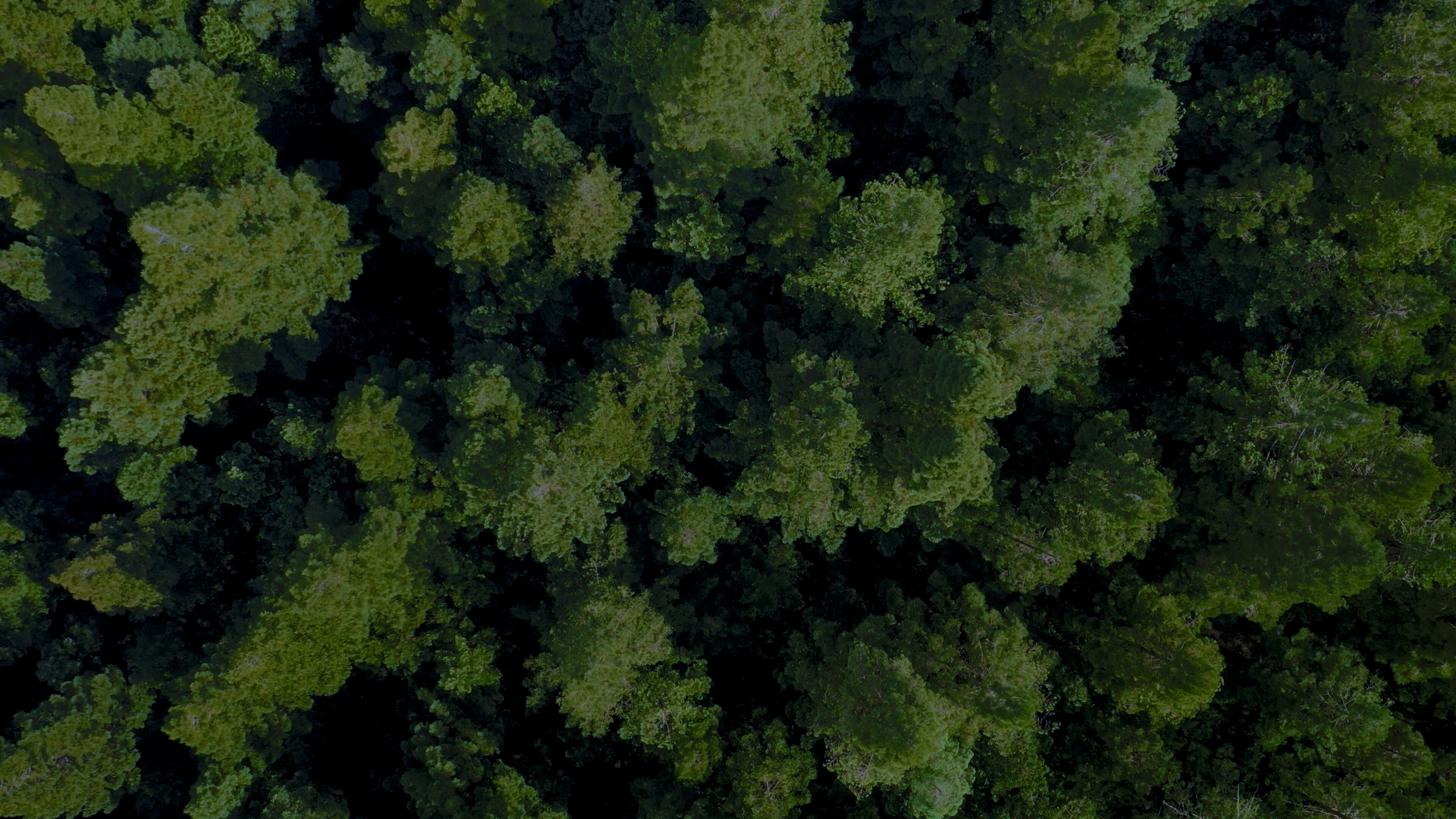 Photo by _dillongroves