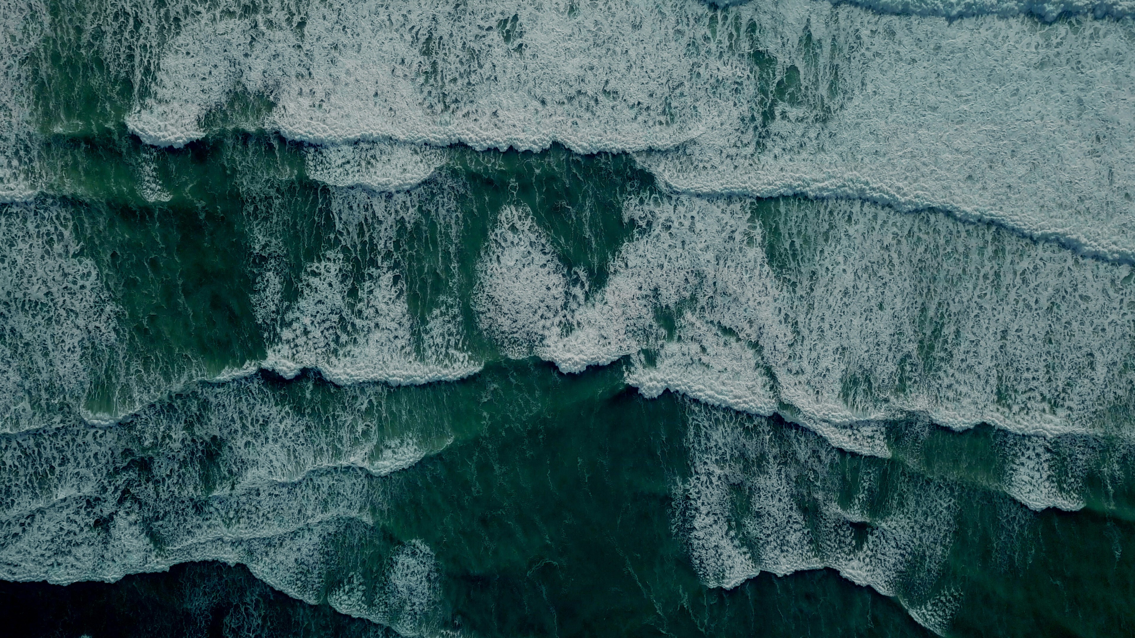 Photo by _dillongroves