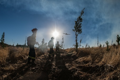A team of firefighters coordinating with a drone during a bushfire response operation.