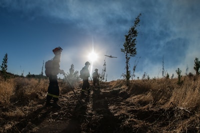A group of people dressed in firefighting gear walk through a dry, grassy landscape. The sun is shining brightly in the sky, casting long shadows. A helicopter is visible above the scene, suggesting aerial support.