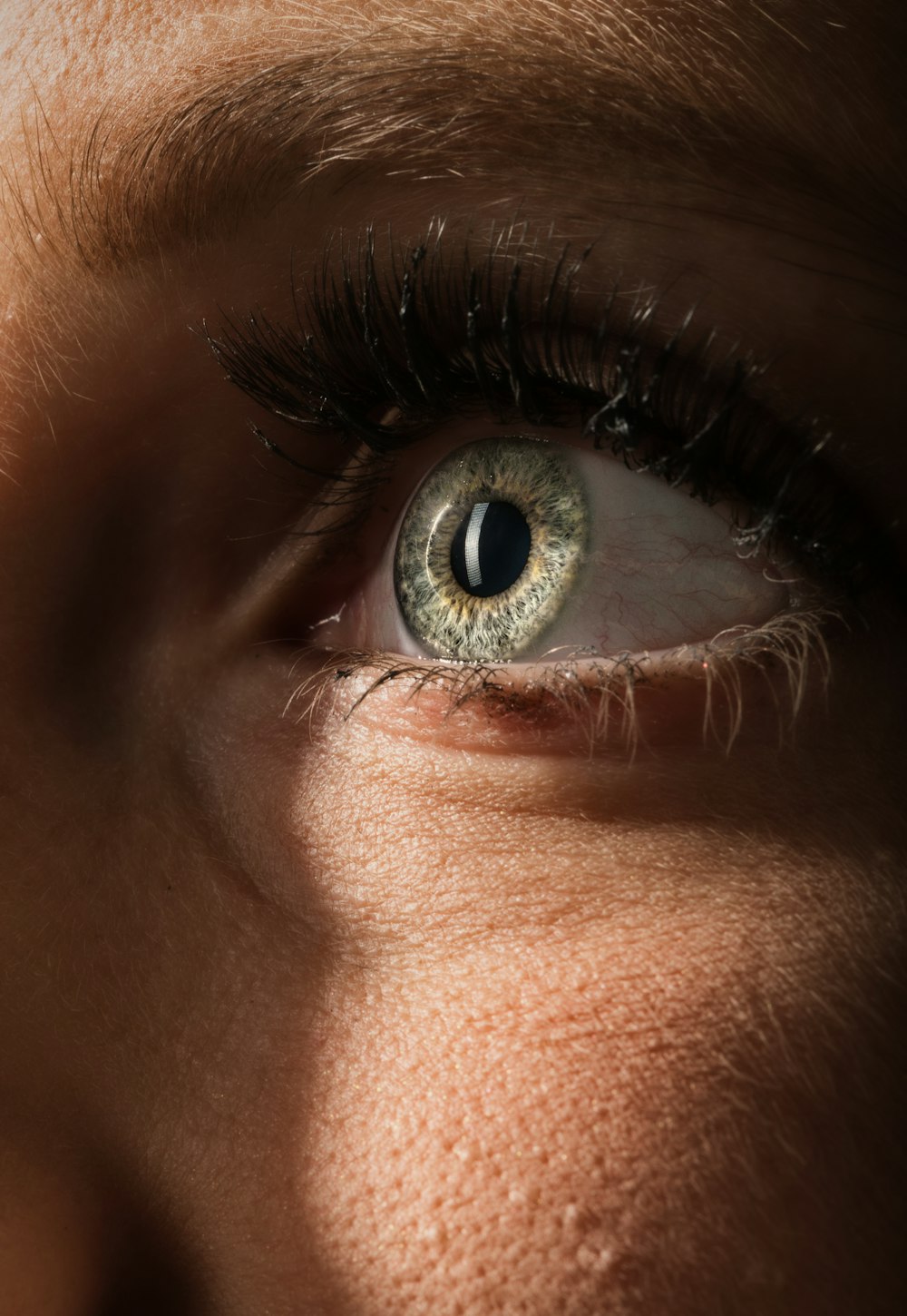 persons eye in close up photography