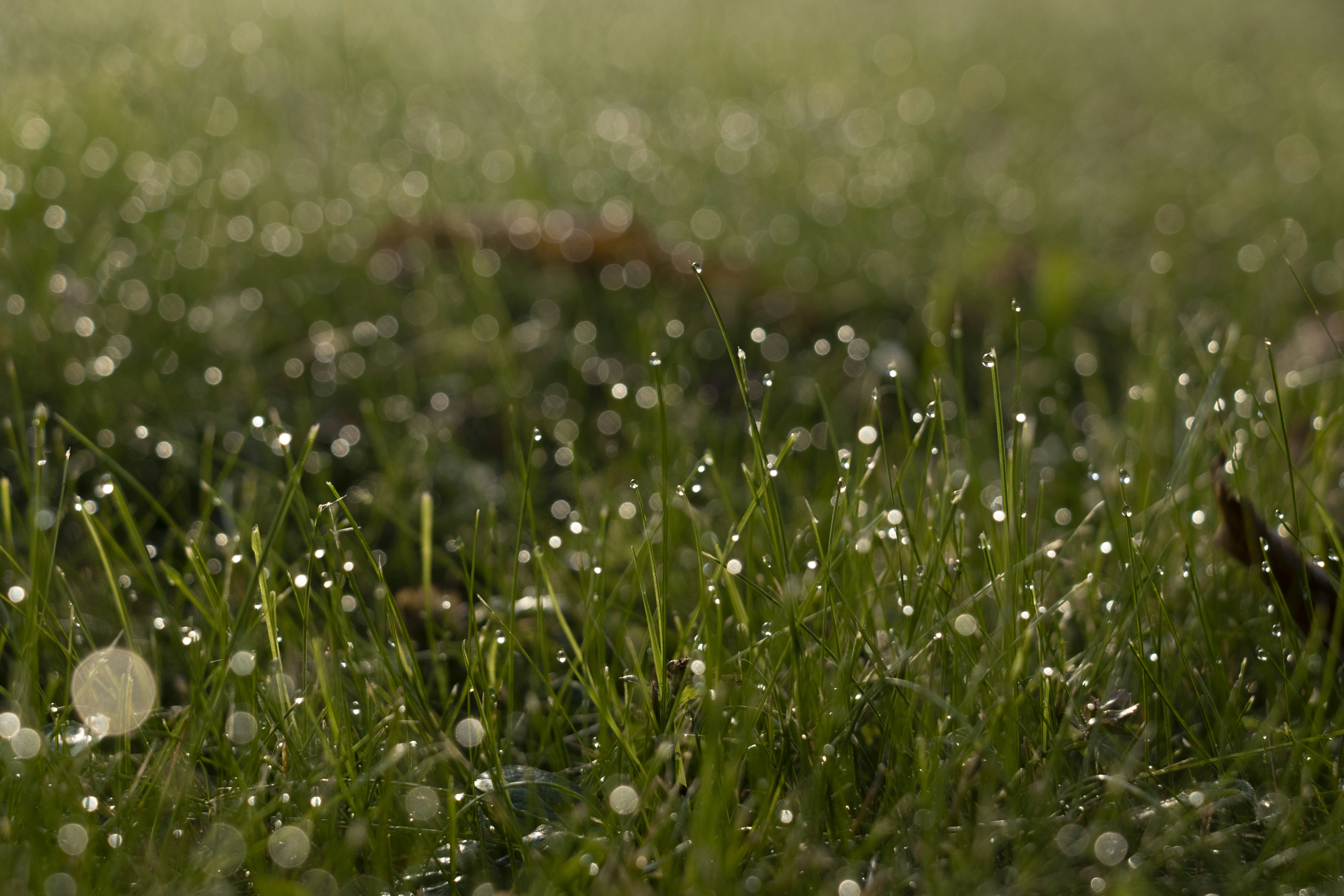 Photo by adrienbrunat_pro