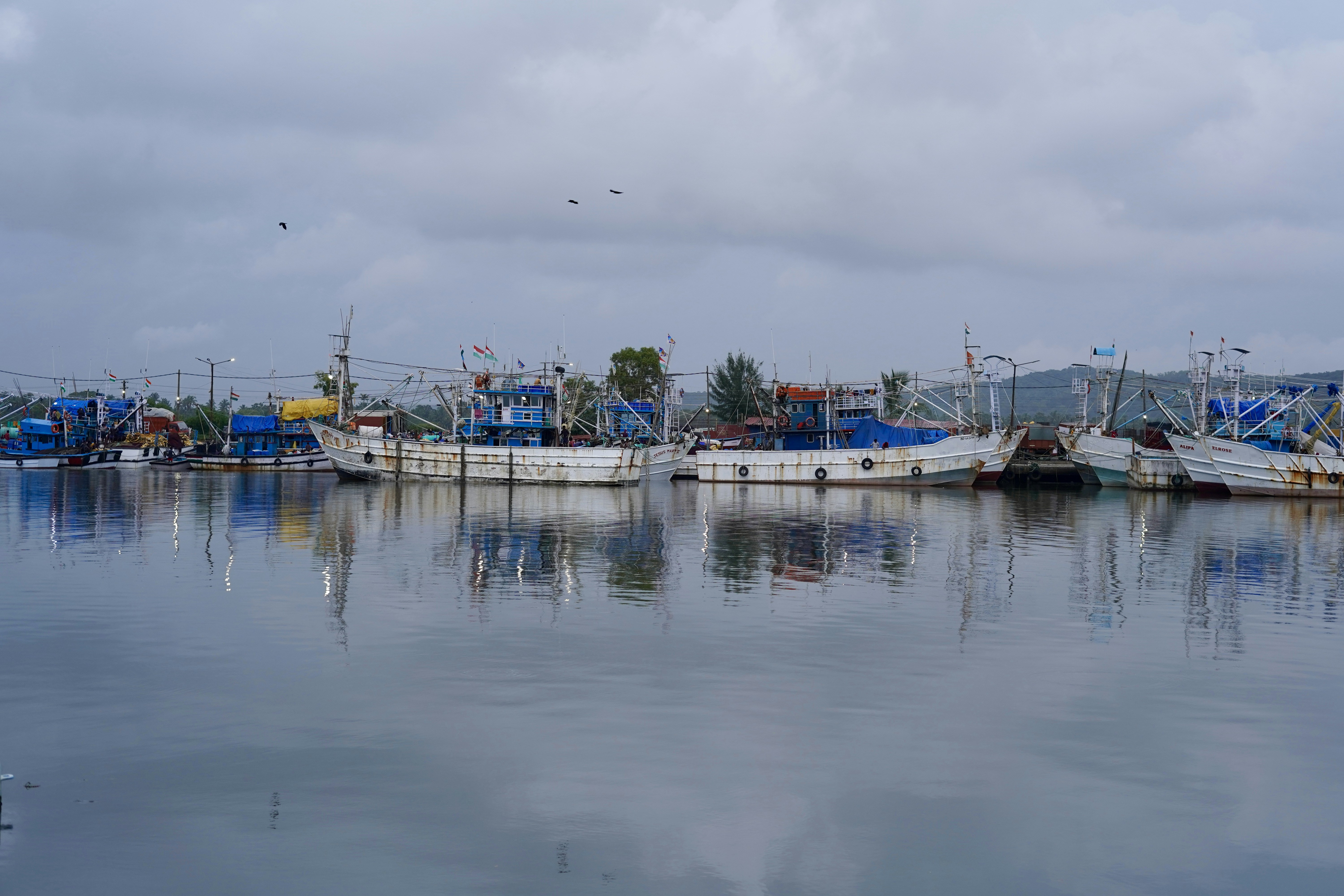 Photo by praveentcom