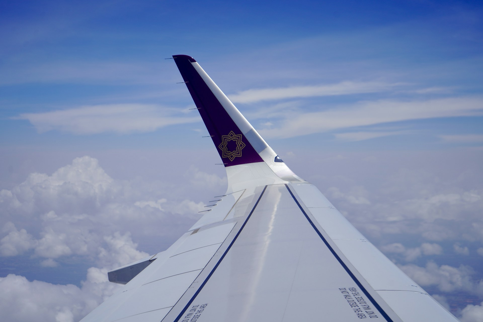 white and blue airplane wing during daytime