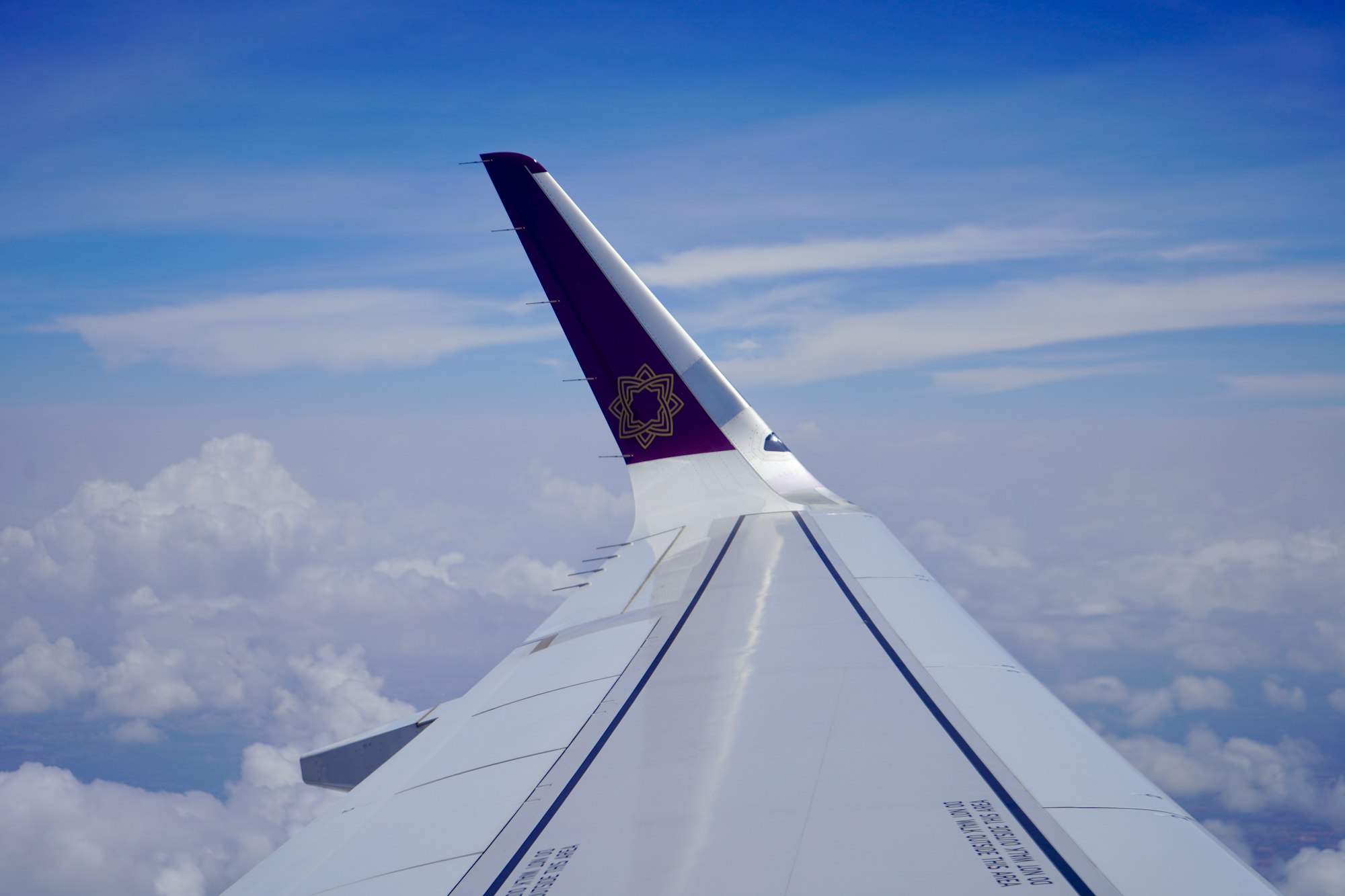 Vistara flight airborne