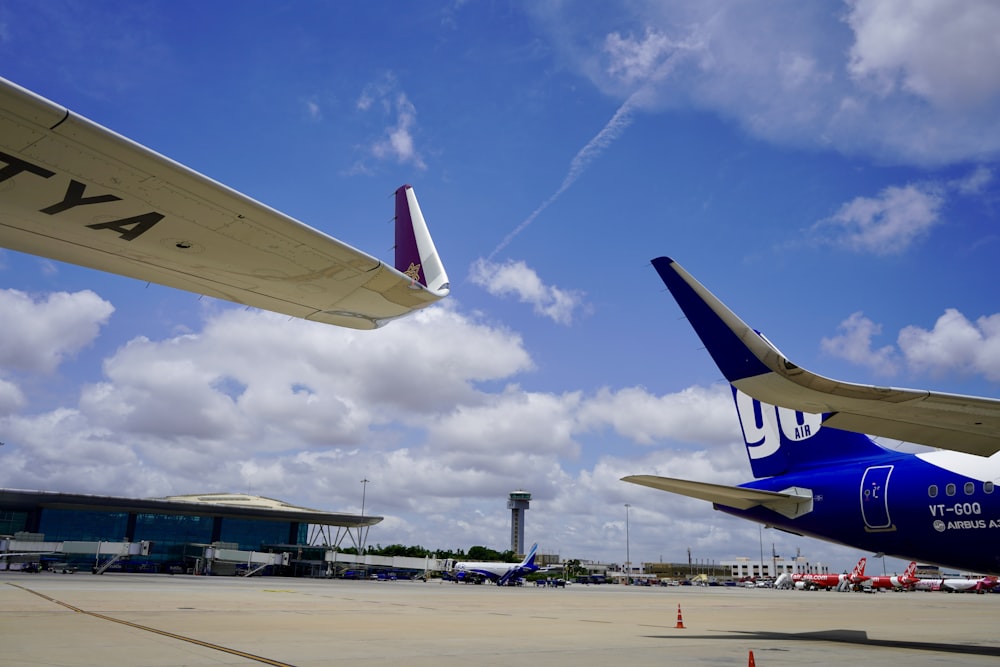 weiß-blaues Flugzeug tagsüber unter blauem Himmel