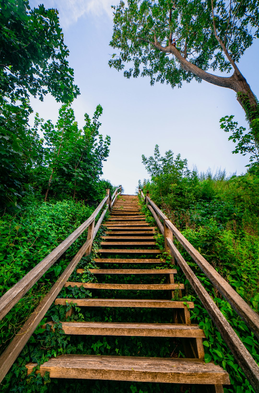 brown wooden staircase between green trees during daytime