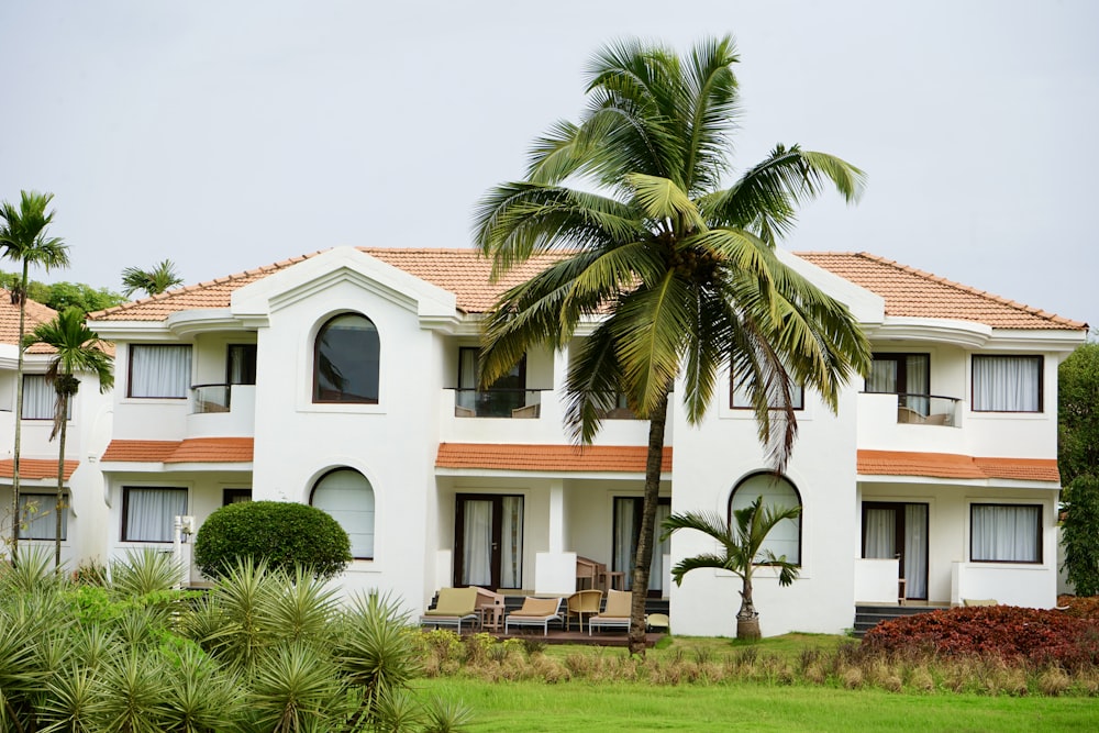 white concrete house near green palm tree during daytime