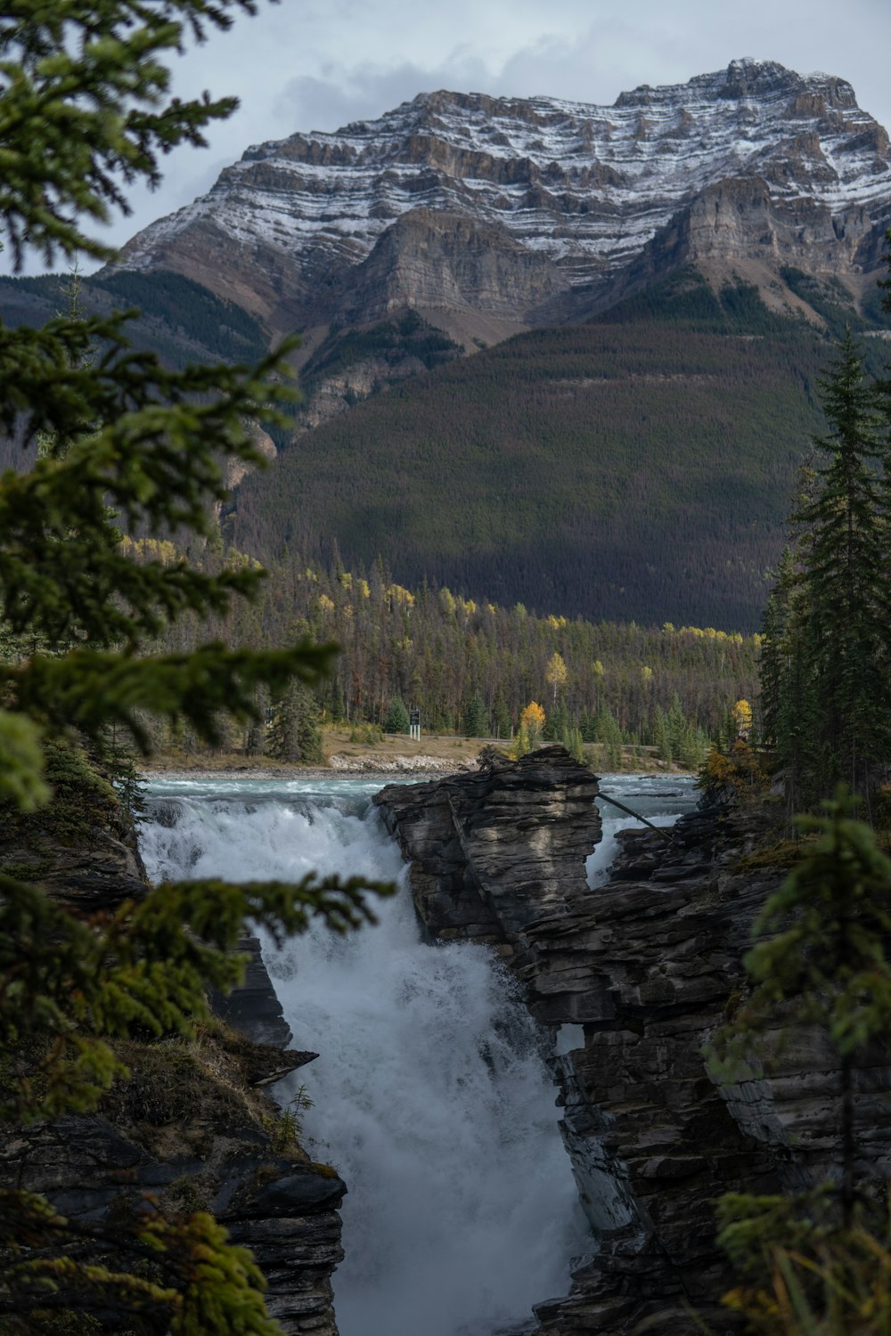 green trees near river and mountain during daytime