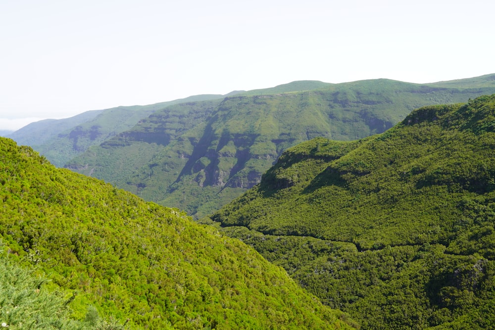 green mountains under white sky during daytime