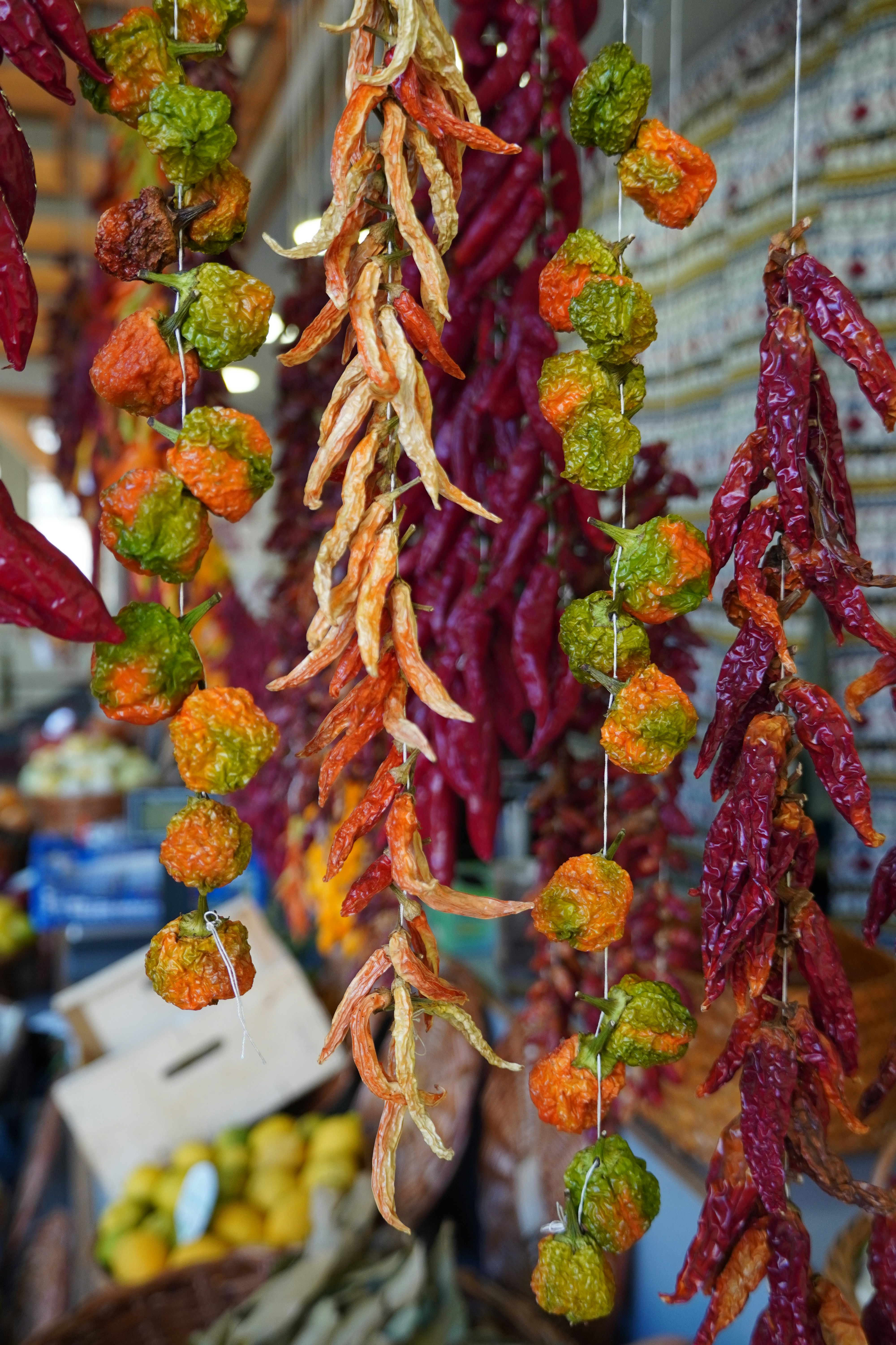 Where to Shop in Sintra: The Main Streets and Zones