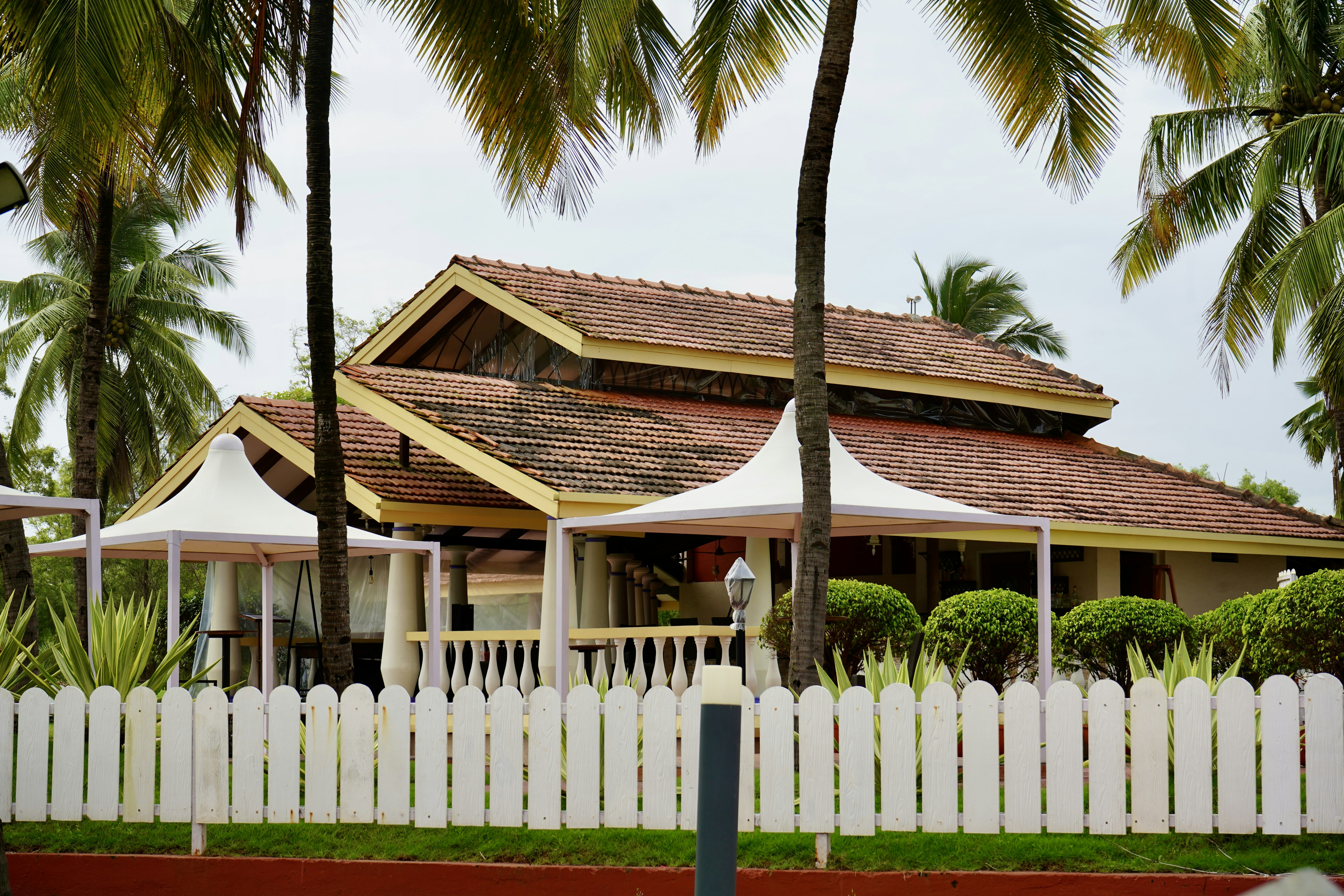 white and brown wooden house near palm tree during daytime