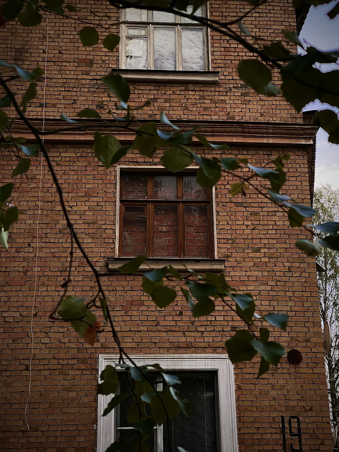 green vines on brown brick wall