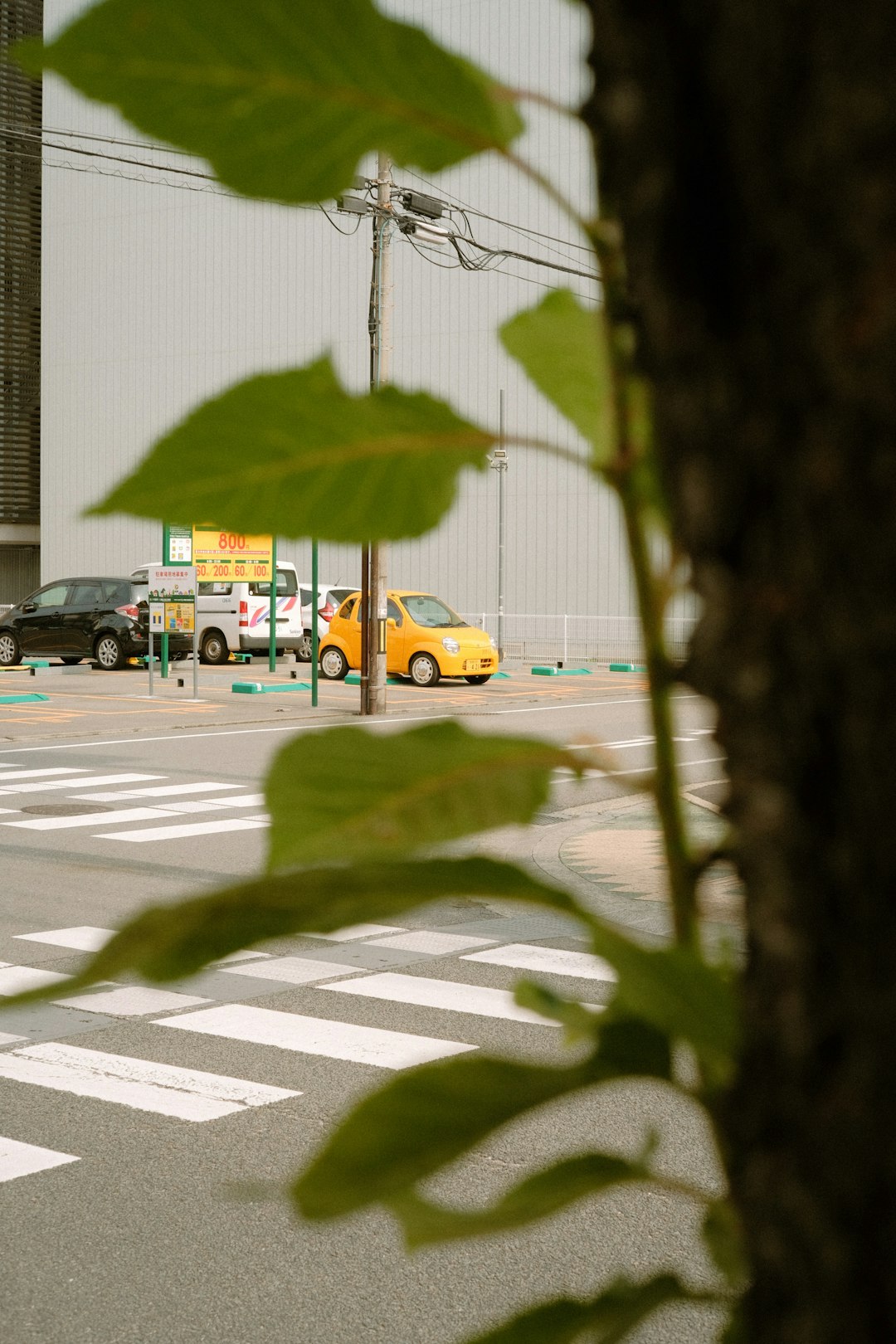 cars parked on parking lot during daytime