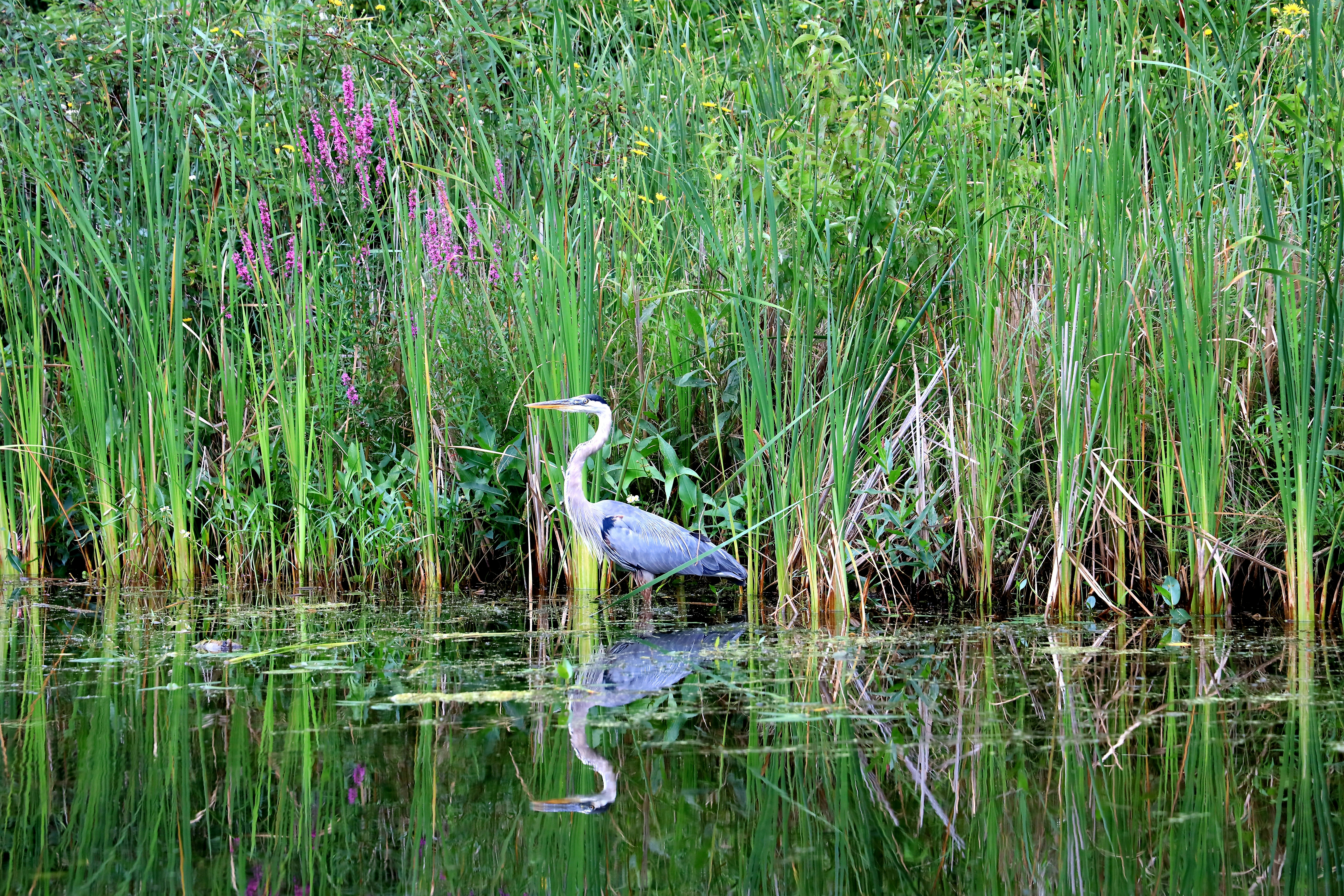 Photo by richardworks