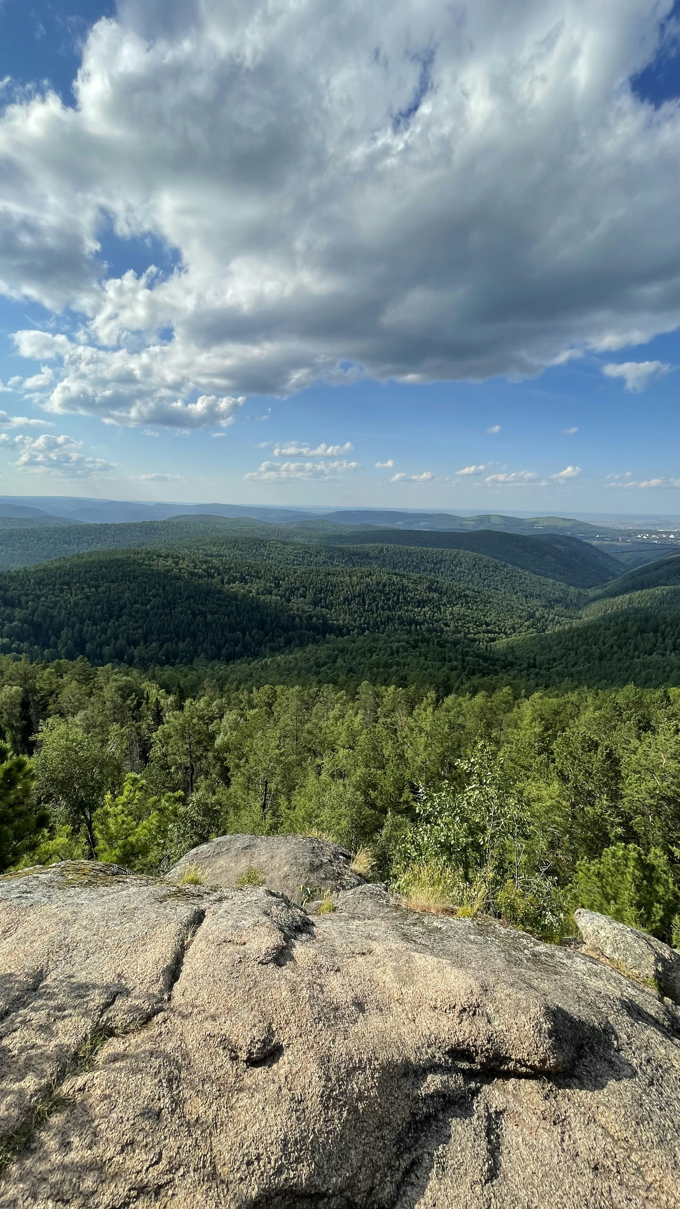 green trees on mountain under blue sky during daytime