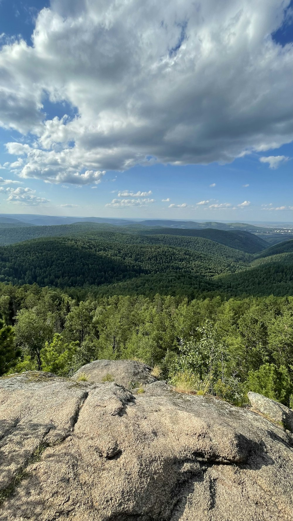 Grüne Bäume am Berg unter blauem Himmel tagsüber