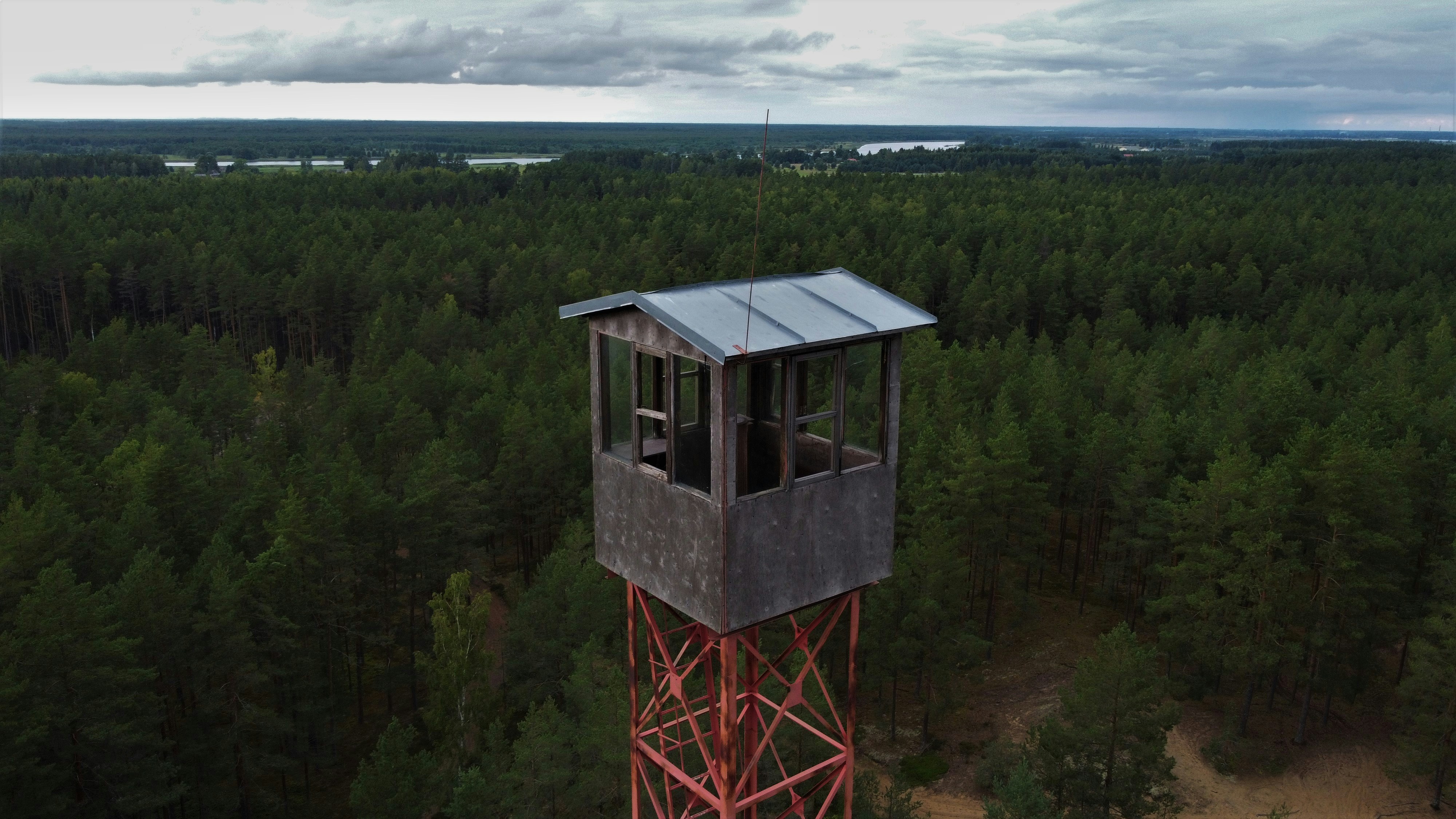 brown wooden tower on green forest during daytime