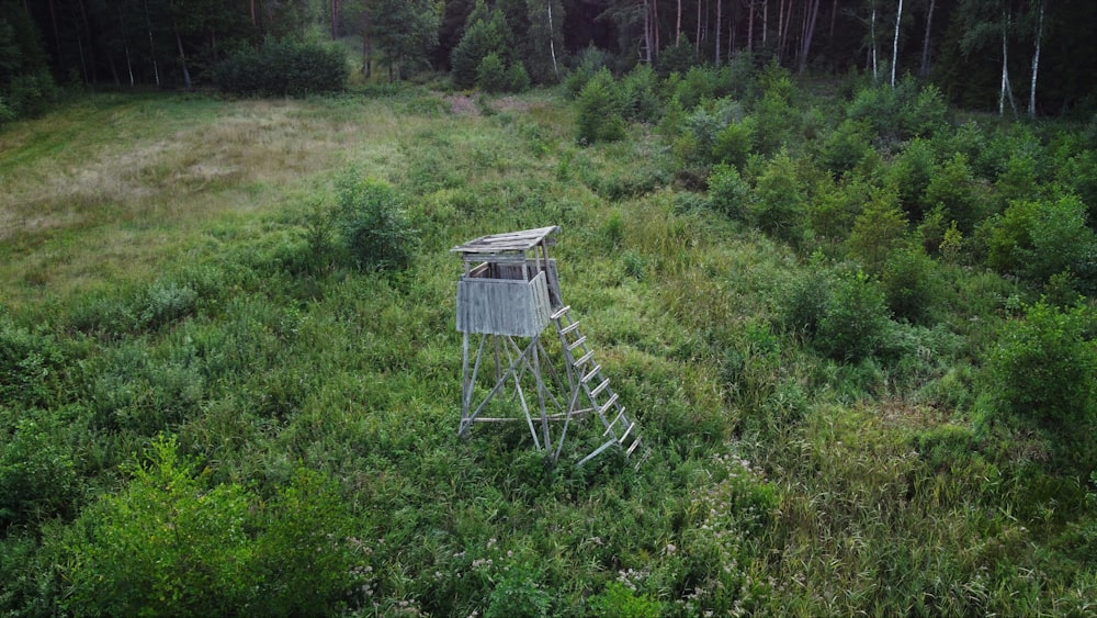 white metal frame on green grass field