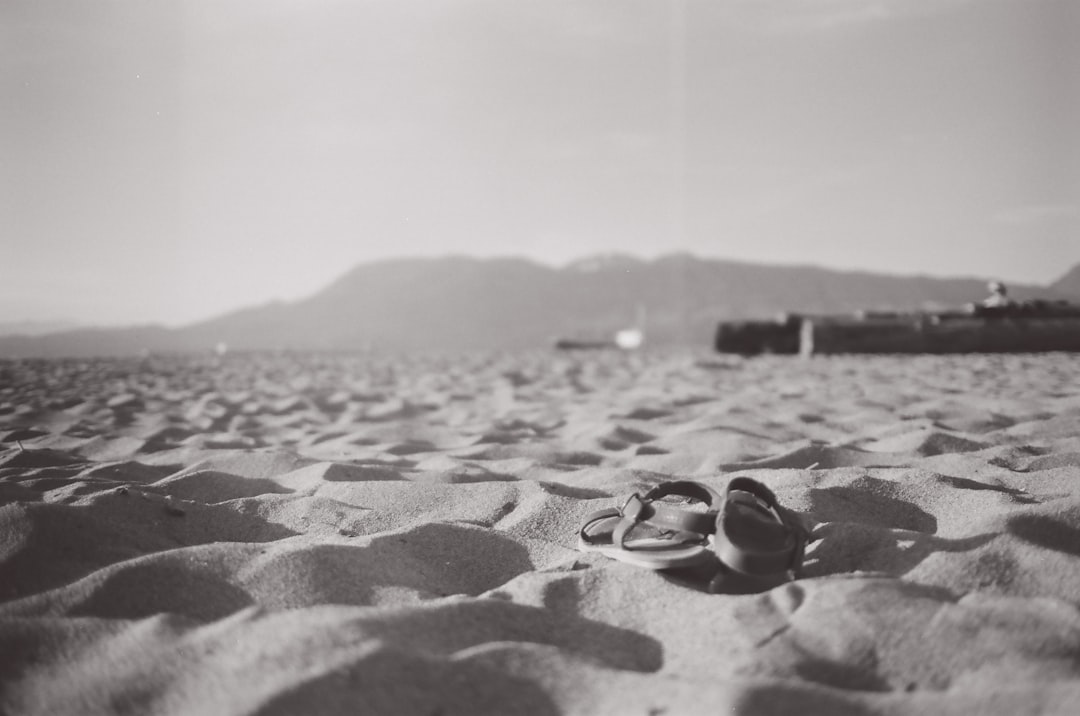 black and white stones on sand