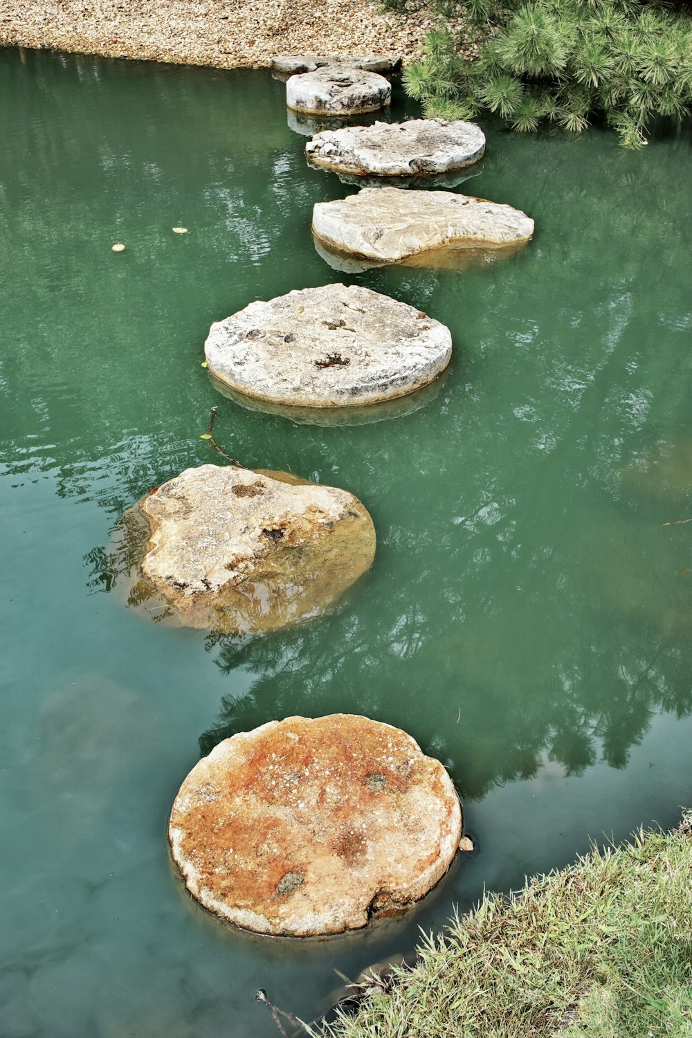 brown and white stone on water