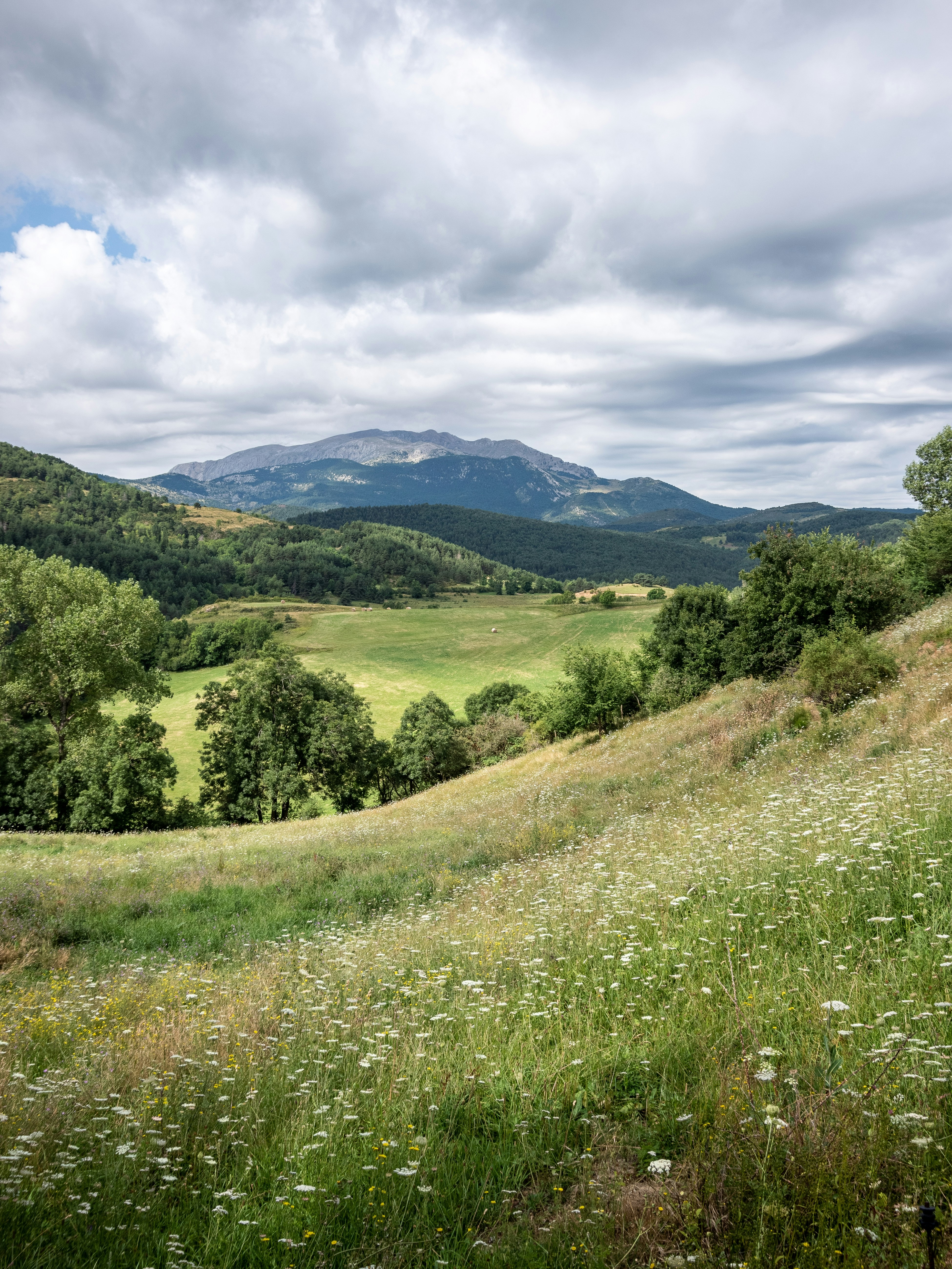 green grass field near green mountains under white clouds and blue sky during daytime