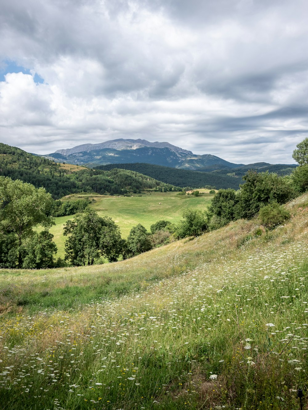 green grass field near green mountains under white clouds and blue sky during daytime