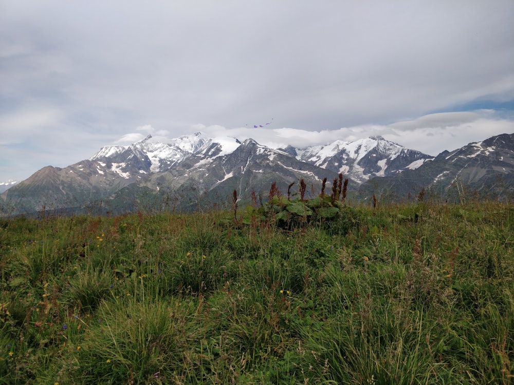 green grass field near snow covered mountain during daytime