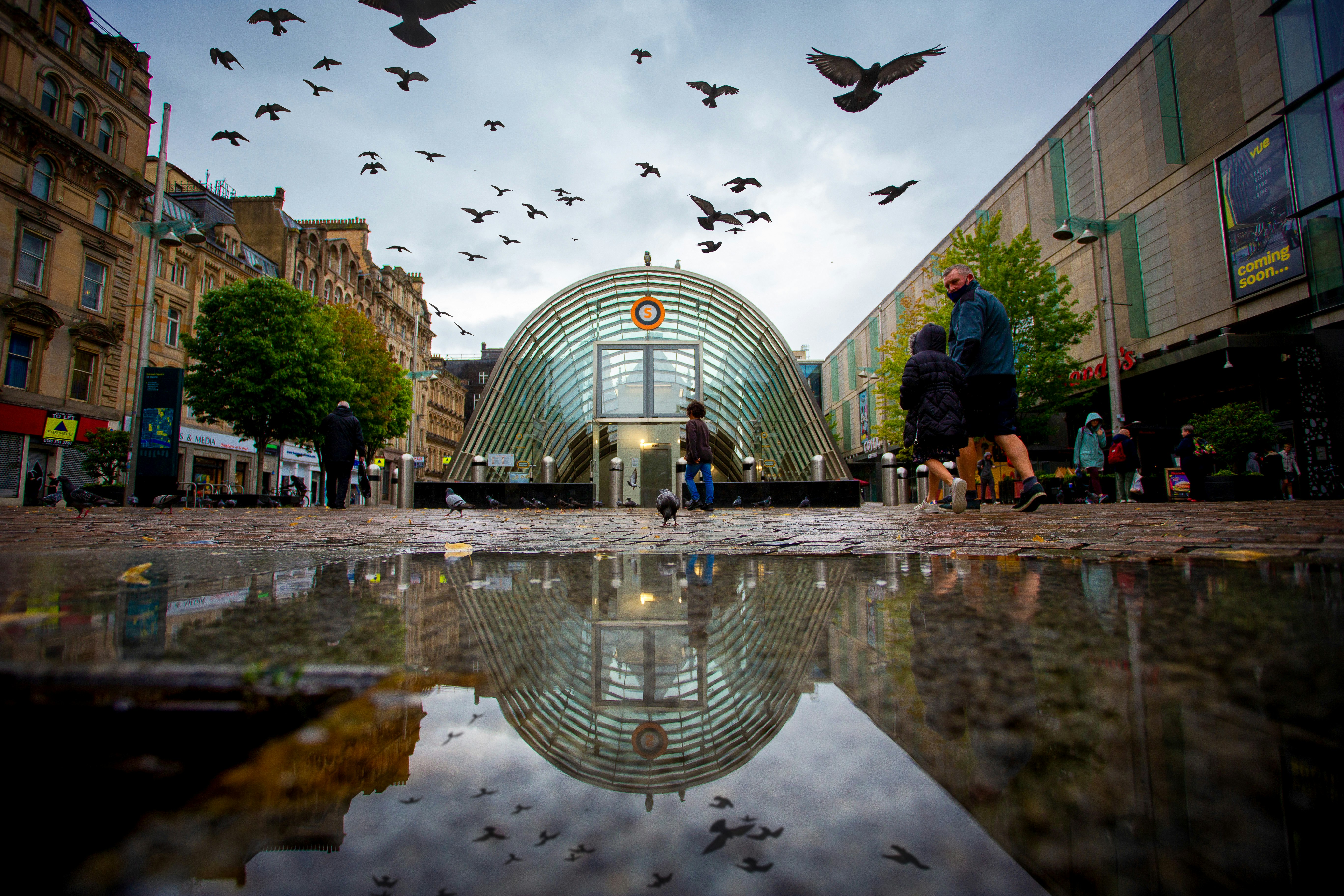 people walking on park with birds flying over the building during daytime