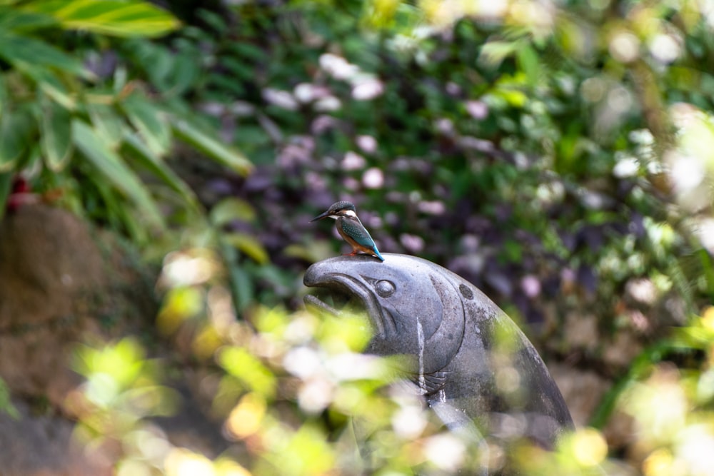 grey bird on tree branch during daytime