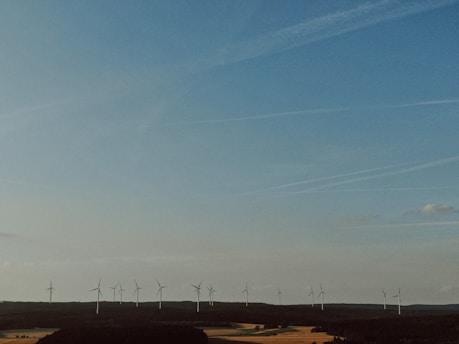 A series of wind turbines is spread across a flat landscape under a vast sky with thin clouds. The setting appears tranquil, with open fields and forested areas beneath the turbines.