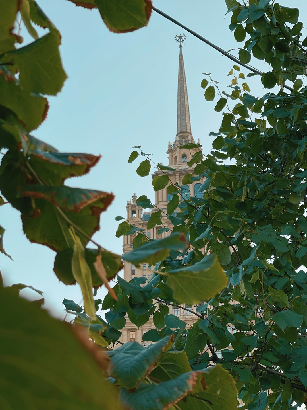 green leaves and white tower