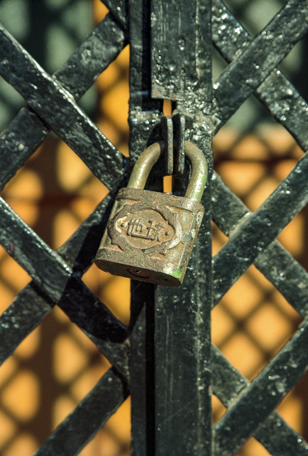 brass padlock on black metal fence