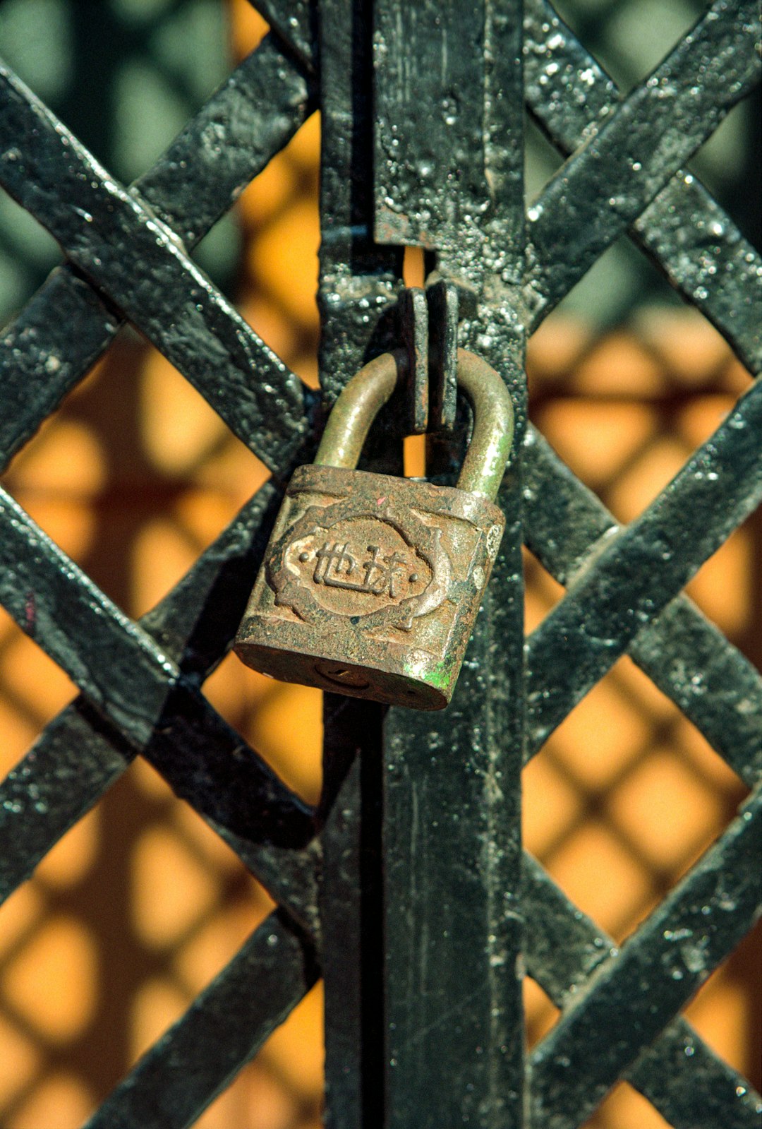 brass padlock on black metal fence