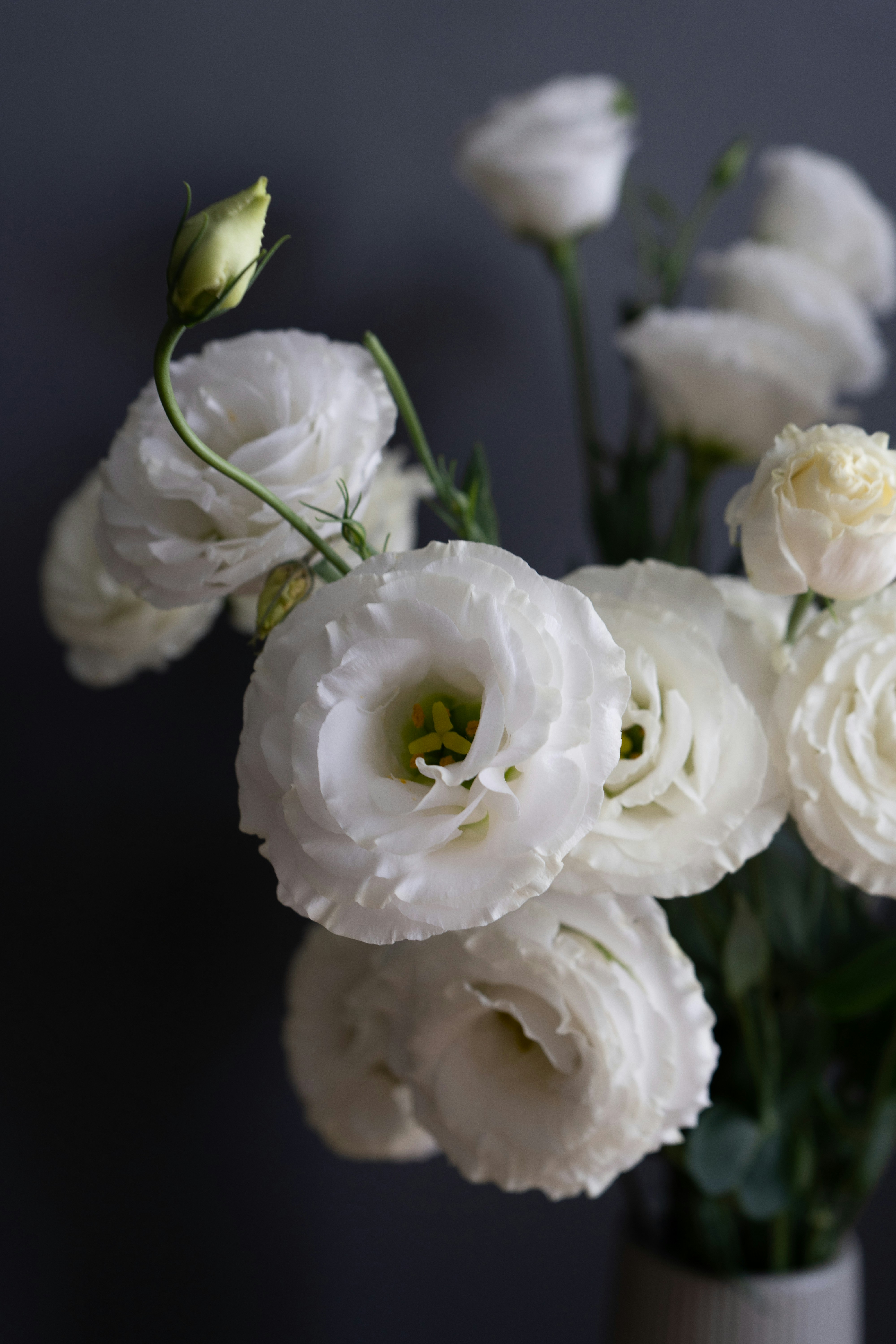 Photo by albina___white