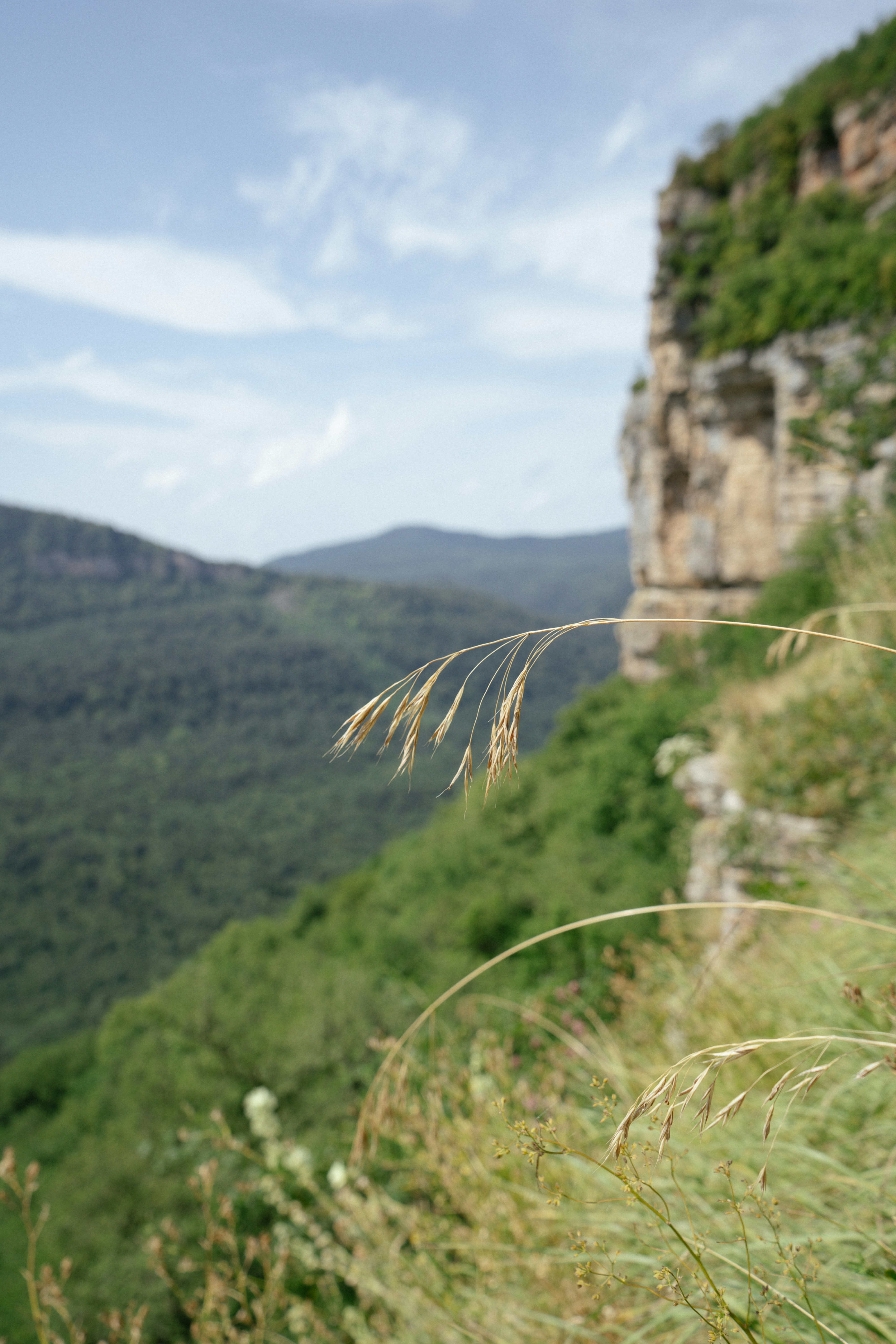 nature hiking wallpaper, wallpaper, Healthy Lunch Ideas for Day Hikers 5