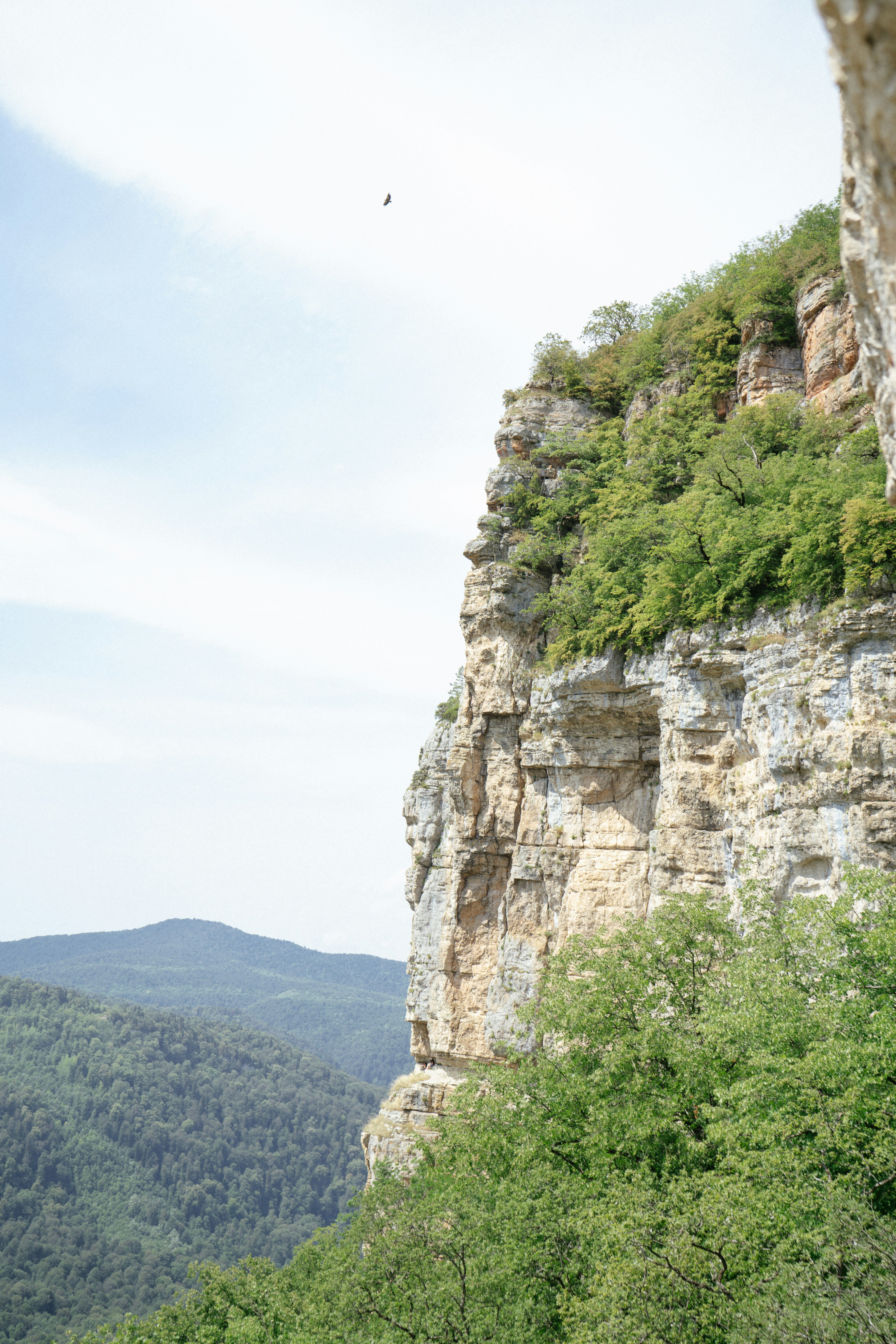 nature hiking wallpaper, wallpaper, Healthy Lunch Ideas for Day Hikers 4